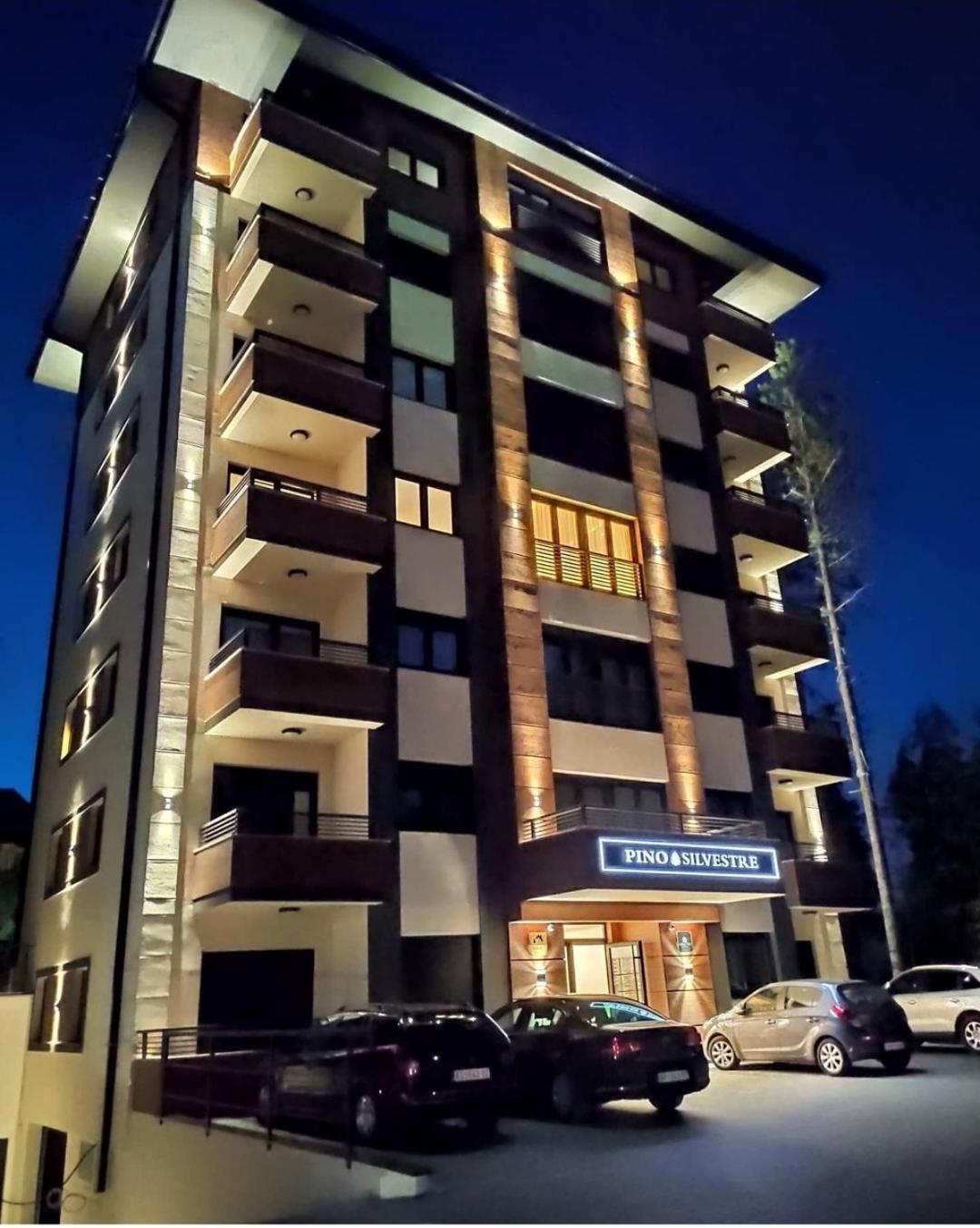 Vila Pino Silvestre Zlatibor Exterior foto
